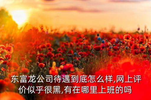 上海東富龍德惠空調設備有限公司