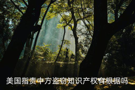 美國(guó)指責(zé)中方盜竊知識(shí)產(chǎn)權(quán)有根據(jù)嗎