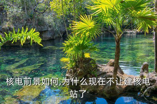 核電前景如何,為什么現在不讓建核電站了