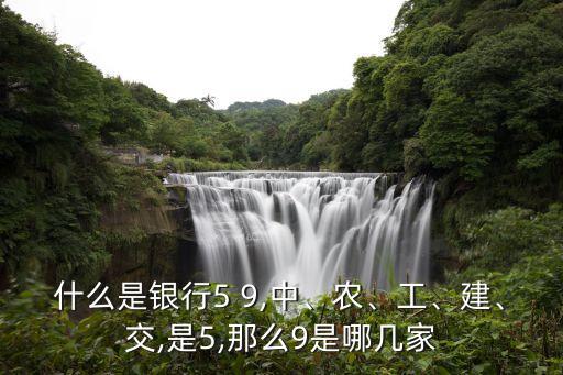 什么是銀行5 9,中、農(nóng)、工、建、交,是5,那么9是哪幾家