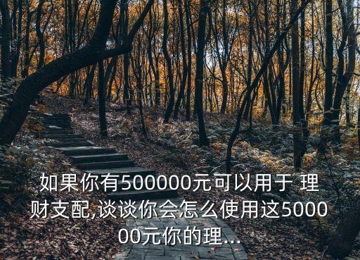 如果你有500000元可以用于 理財支配,談談你會怎么使用這500000元你的理...