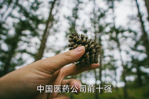中國(guó)醫(yī)藥公司前十強(qiáng)
