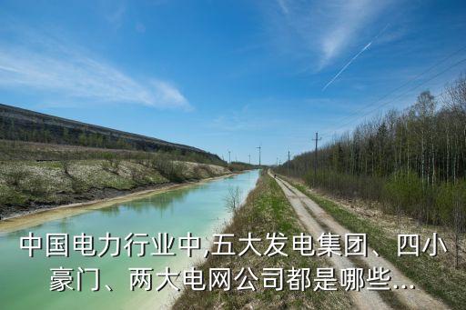 中國(guó)電力行業(yè)中,五大發(fā)電集團(tuán)、四小豪門、兩大電網(wǎng)公司都是哪些...