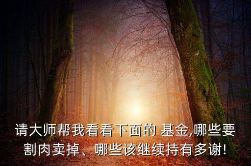 請大師幫我看看下面的 基金,哪些要割肉賣掉、哪些該繼續(xù)持有多謝!