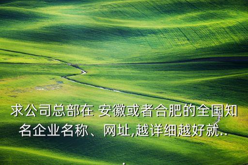 求公司總部在 安徽或者合肥的全國知名企業(yè)名稱、網(wǎng)址,越詳細(xì)越好就...