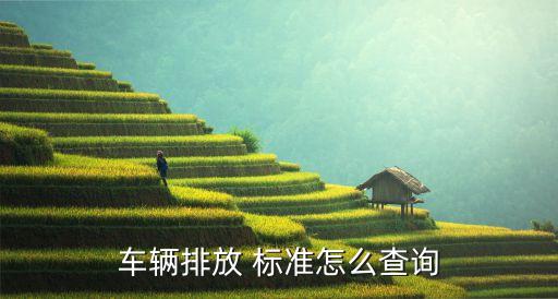 車(chē)輛排放 標(biāo)準(zhǔn)怎么查詢(xún)