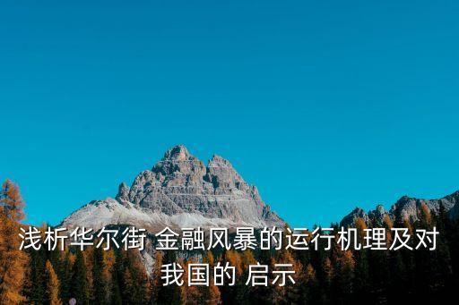 淺析華爾街 金融風(fēng)暴的運(yùn)行機(jī)理及對(duì)我國的 啟示
