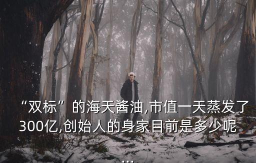 “雙標”的海天醬油,市值一天蒸發(fā)了300億,創(chuàng)始人的身家目前是多少呢...