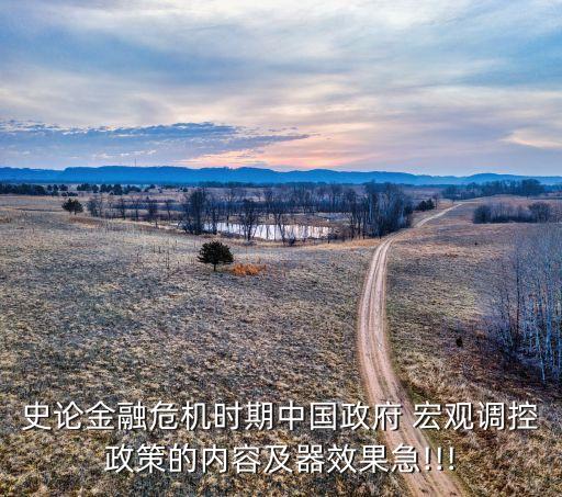 史論金融危機時期中國政府 宏觀調(diào)控政策的內(nèi)容及器效果急!!!