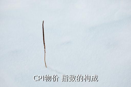 CPI物價(jià) 指數(shù)的構(gòu)成