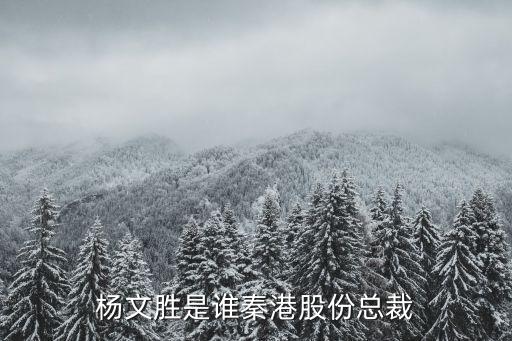 秦皇島港股份有限公司流動機(jī)械分公司