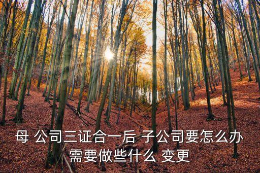 公司變更為子公司,勞動關(guān)系變更到子公司