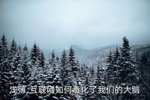 淺薄:互聯網如何毒化了我們的大腦