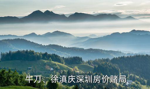  牛刀、徐滇慶深圳房?jī)r(jià)賭局