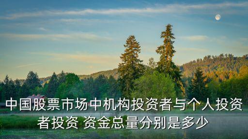 中國股票市場中機(jī)構(gòu)投資者與個(gè)人投資者投資 資金總量分別是多少