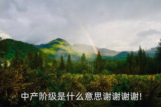  中產階級是什么意思謝謝謝謝!