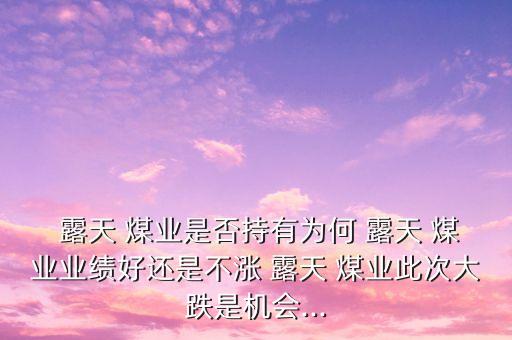 內蒙古霍林河露天煤業(yè)股份有限公司,霍林河露天煤業(yè)股份有限公司招聘