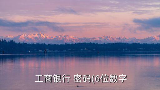 工商銀行 密碼(6位數(shù)字