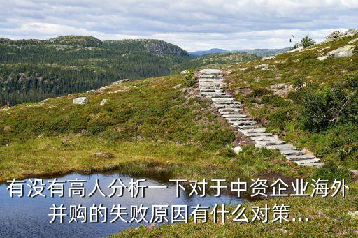 有沒有高人分析一下對(duì)于中資企業(yè)海外并購(gòu)的失敗原因有什么對(duì)策...