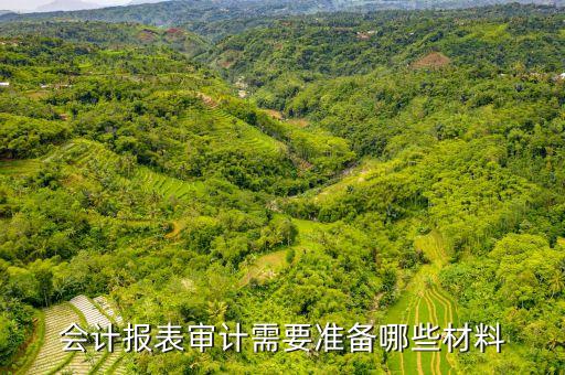 銀行盤點表,銀行票據(jù)盤點表