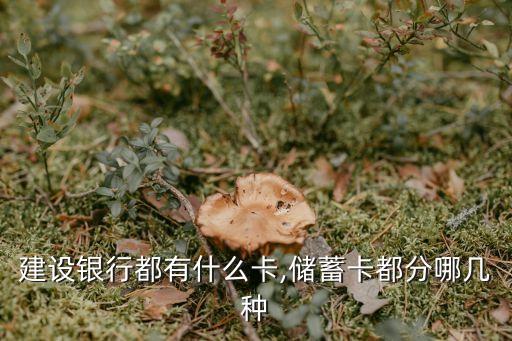 建設銀行都有什么卡,儲蓄卡都分哪幾種