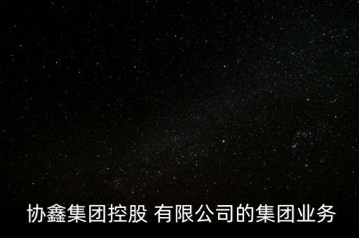  協(xié)鑫集團(tuán)控股 有限公司的集團(tuán)業(yè)務(wù)