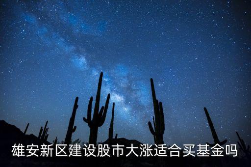 雄安新區(qū)建設(shè)股市大漲適合買基金嗎