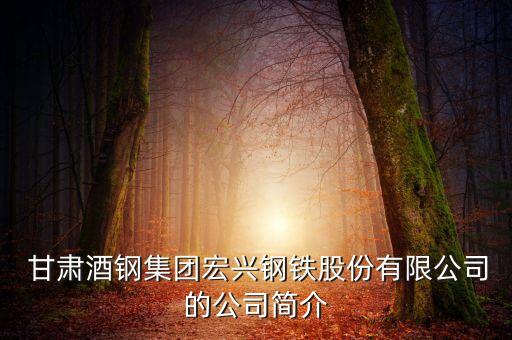  甘肅酒鋼集團(tuán)宏興鋼鐵股份有限公司的公司簡(jiǎn)介