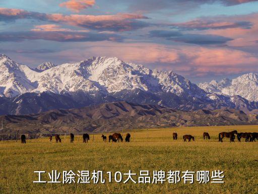 工業(yè)除濕機10大品牌都有哪些
