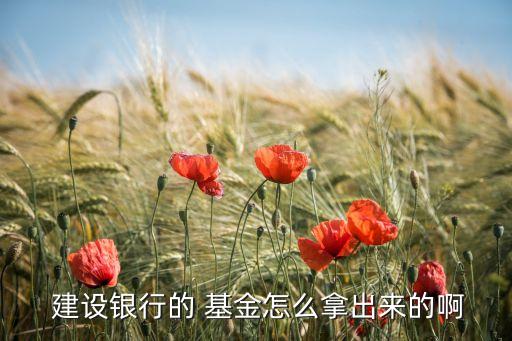 建設(shè)銀行個(gè)人網(wǎng)上銀行基金贖回,下載建設(shè)銀行個(gè)人網(wǎng)上銀行