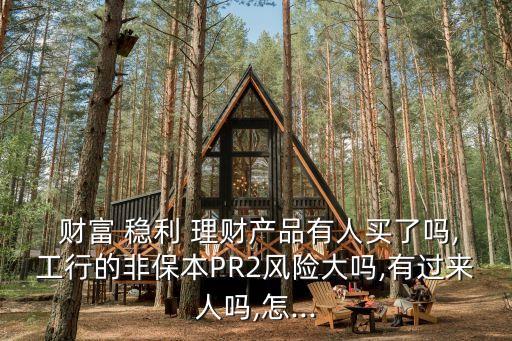  財富 穩(wěn)利 理財產品有人買了嗎,工行的非保本PR2風險大嗎,有過來人嗎,怎...