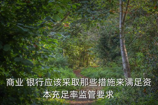 商業(yè) 銀行應(yīng)該采取那些措施來(lái)滿足資本充足率監(jiān)管要求