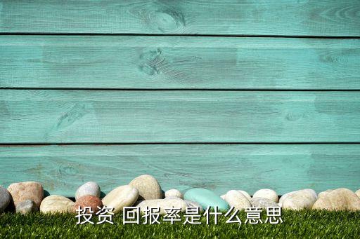 投資 回報率是什么意思