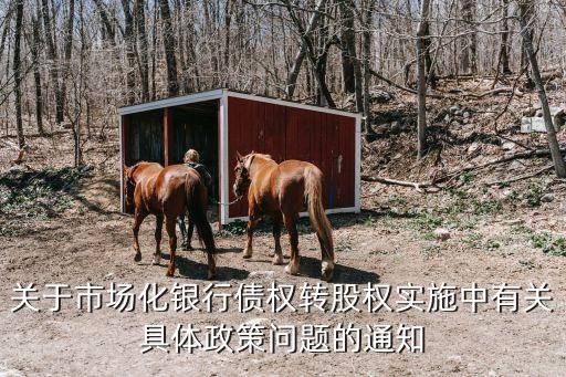 關(guān)于市場(chǎng)化銀行債權(quán)轉(zhuǎn)股權(quán)實(shí)施中有關(guān)具體政策問(wèn)題的通知