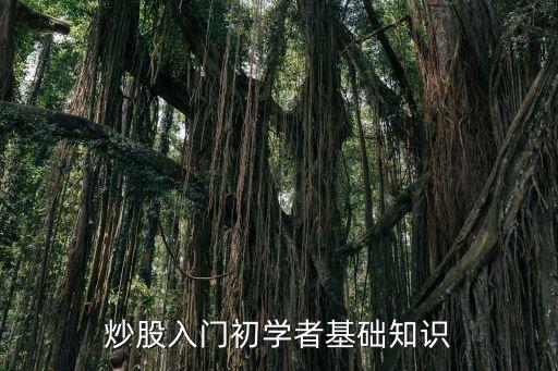 炒股入門初學者基礎(chǔ)知識