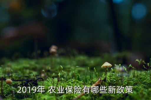 2019年 農(nóng)業(yè)保險有哪些新政策