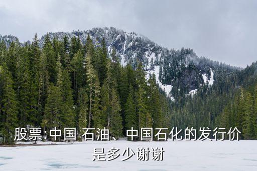 股票:中國(guó) 石油、中國(guó)石化的發(fā)行價(jià)是多少謝謝
