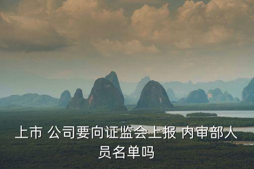 公司內(nèi)審部門