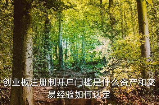 創(chuàng)業(yè)板注冊(cè)制開戶門檻是什么資產(chǎn)和交易經(jīng)驗(yàn)如何認(rèn)定