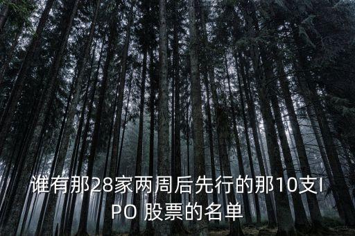 誰(shuí)有那28家兩周后先行的那10支IPO 股票的名單