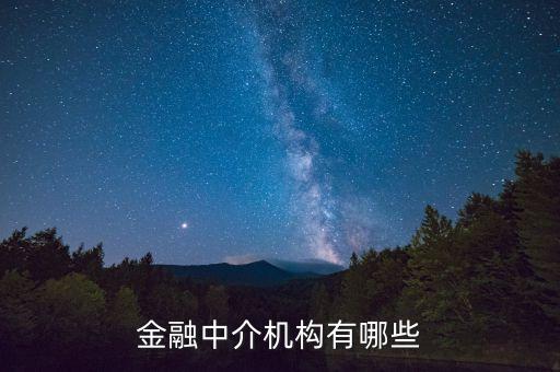 金融中介機構(gòu)有哪些