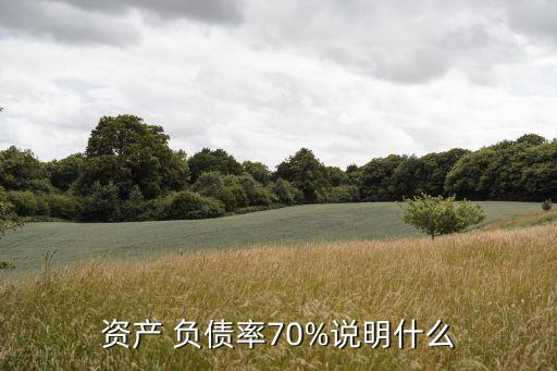 股票的負債率