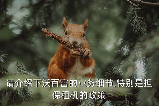請介紹下沃百富的業(yè)務(wù)細節(jié),特別是擔保租機的政策
