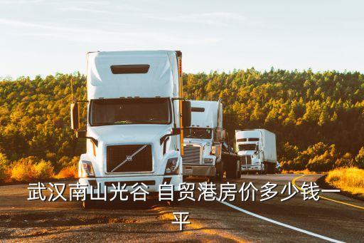  武漢南山光谷 自貿(mào)港房?jī)r(jià)多少錢(qián)一平