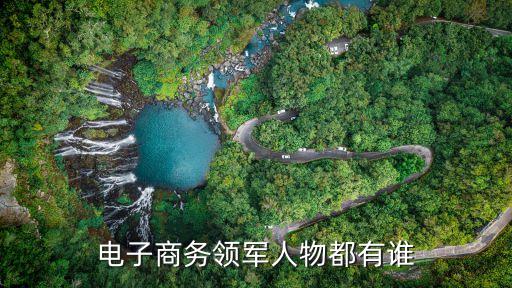 電子商務領(lǐng)軍人物都有誰