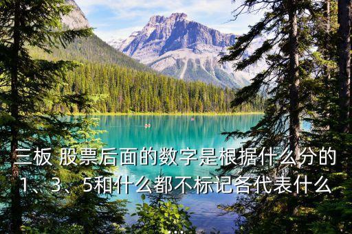 三板 股票后面的數字是根據什么分的1、3、5和什么都不標記各代表什么...