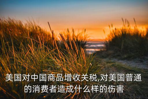 美國(guó)對(duì)中國(guó)商品增收關(guān)稅,對(duì)美國(guó)普通的消費(fèi)者造成什么樣的傷害