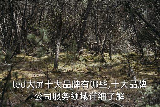 led大屏十大品牌有哪些,十大品牌公司服務領(lǐng)域詳細了解