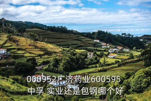 000952廣濟(jì)藥業(yè)600595 中孚 實業(yè)還是包鋼哪個好
