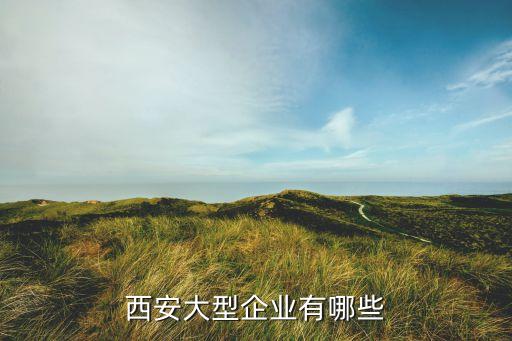 昌河飛機工業(yè)集團股票代碼,成都飛機工業(yè)(集團)有限責(zé)任公司股票代碼